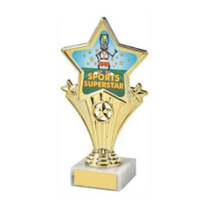 Fun Star Award - Sports Superstar - Image 1