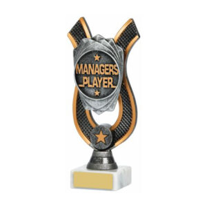 Managers Player Award - Image 1