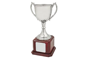 Nickel Cups