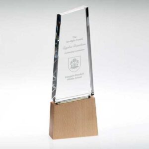 Clear Glass Block On Light Wood Base With Colour Flash (32mm Thick) - Image 4
