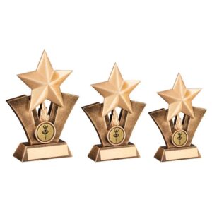 Brz|Gold Generic Star With Ballet Insert With Plate - Image 2