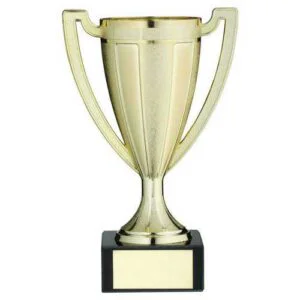 Gold Plastic Stippled Trophy Cup with Plate