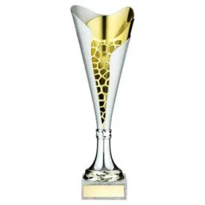 Silver~Gold Plastic Stippled Trophy Cup with Plate