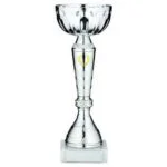 Silver Trophy Cup with Gold Wreath & Plate