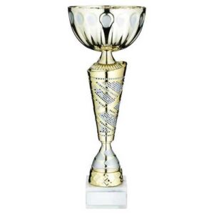 Gold~Matt Silv Trophy Cup With Plate - Image 1
