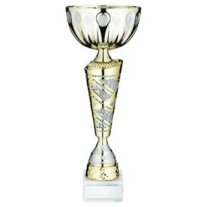 Gold~Matt Silv Trophy Cup With Plate