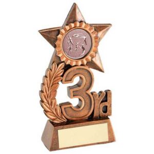 Leaf and Star Award with Athletics Insert and Plate – Gold, Silver, Bronze (1st, 2nd, 3rd) - Image 4