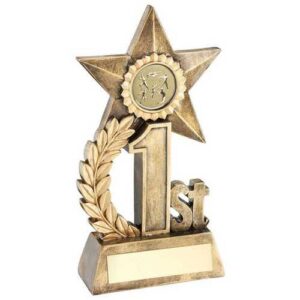 Leaf and Star Award with Athletics Insert and Plate – Gold, Silver, Bronze (1st, 2nd, 3rd) - Image 1