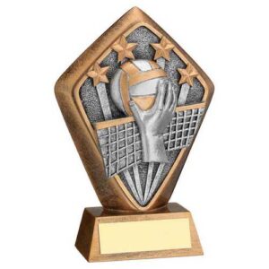 Brz~Gold Diamond Holder With Volleyball Disc With Plate - 5.25in