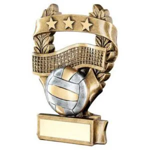 Brz-Pew-Gold Volleyball 3 Star Wreath Award With Plate