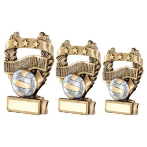 Brz-Pew-Gold Volleyball 3 Star Wreath Award With Plate - Image 4