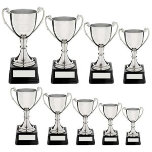 Nickel Plated Cup on Round Plinth with Band - Image 2