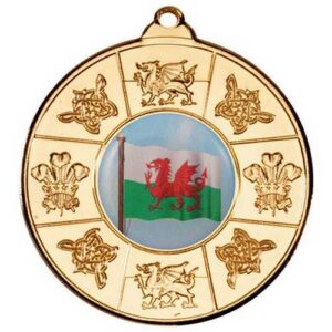 Wales Medal (1in Centre) - 2in - Image 5