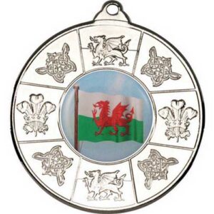 Wales Medal (1in Centre) - 2in - Image 4