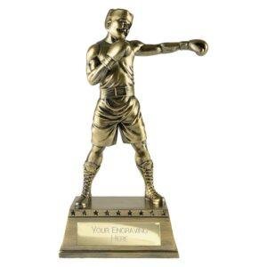 The Classic Boxing Award – Metallic Antique Gold - Image 4