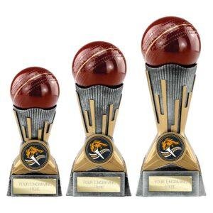 Digital Cricket Award Antique Silver & Gold Trophy – 125mm, 150mm & 175mm - Image 1