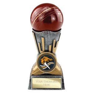 Digital Cricket Award Antique Silver & Gold Trophy – 125mm, 150mm & 175mm - Image 4