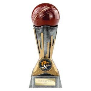 Digital Cricket Award Antique Silver & Gold Trophy – 125mm, 150mm & 175mm - Image 2