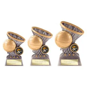 Smash Netball Award – Antique Silver & Gold Trophy