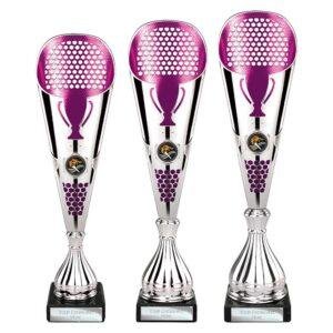Eclectic Trophy – Silver & Purple