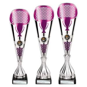 Eclectic Trophy – Silver & Purple