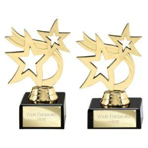 Hunter Stars Multi-Sport Trophy - Image 1