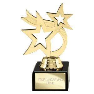 Hunter Stars Multi-Sport Trophy - Image 2